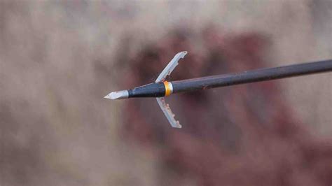 Best Broadheads for Deer Hunting - Montana Decoy