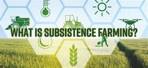 What is Subsistence Farming? How can it help to revolutionize the ...