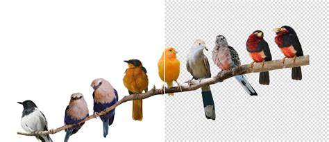 how to remove image white background 10