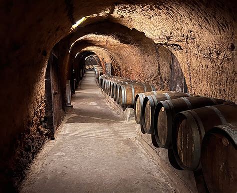 ВКЗ "ШЕРЕМЕТЬЕВСКИЙ"