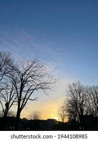 Naked Trees Evening Stock Photo 1944108985 Shutterstock