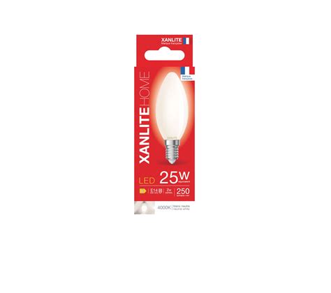 Ampoule Led Flamme E Opaque Blanc Froid Ampoule But