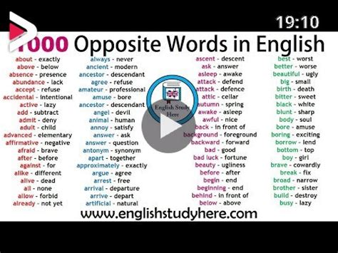 List Of Opposite Words Antonyms Words List Commonly Antonyms List Hot