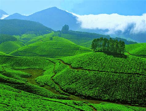 Munnar Holidays: KUNDALA LAKE - MUNNAR