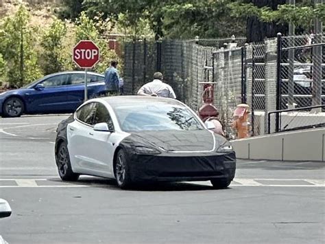 [tesla Model 3 Facelift] Project Highland Spotted On The Road R