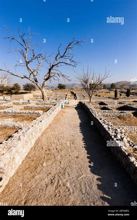 Sircap Ruins In Ancient City Of Taxila Taxila Suburb Of Islamabad