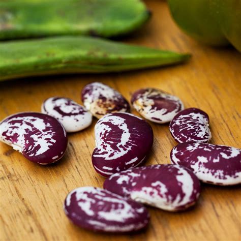 6 Heirloom Bean Varieties to Know