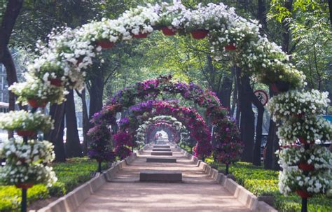 Festival De Flores Y Jardines En Polanco Y Chapultepec