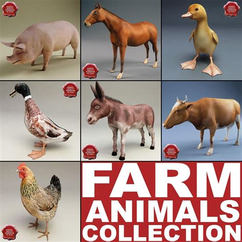 Farm Animals Collection V3 3D Model #AD ,#Animals#Farm#Collection#Model