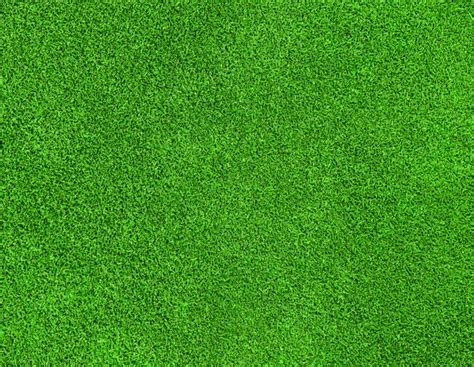 Grass texture Stock Photos, Royalty Free Grass texture Images ...