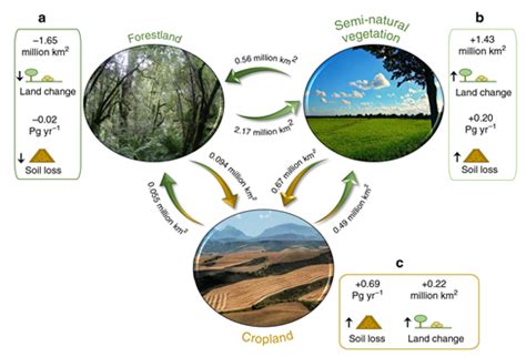 Explain The Different Types Of Soil Erosion