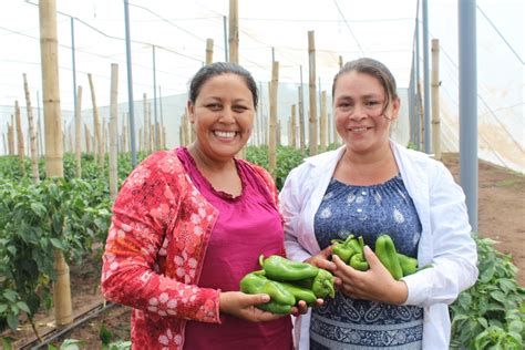 Héroes de la alimentación Empoderamiento económico Mesoamerica