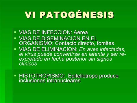 Laringotraqueitis Infecciosa Aviar Ppt