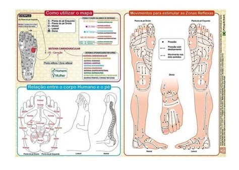 Mapa Reflexologia Podal Terapia Podal Japonesa Massagem