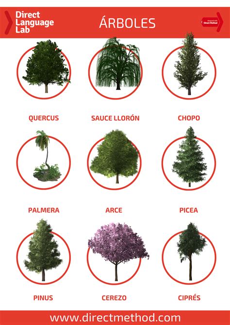 Los Arboles Que Olvidaron Sus Nombres Una Nueva N 2