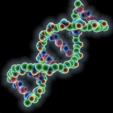 DNA molecule 3D model | CGTrader