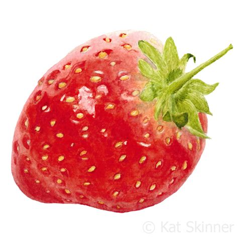 Strawberry Watercolor Painting at GetDrawings | Free download