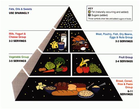 Healthy Living 123 Since 2007 健康生活123 Dr Fuhrmans Food Pyramid Vs