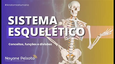 Quais São As Funções Do Sistema Esquelético - #1 Sistema Esquelético [Conceitos, funções e divisão do esqueleto ...