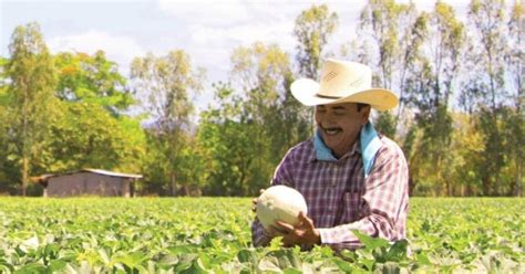 Fundaci N Ficohsa Acciones Para El Desarollo Sostenible