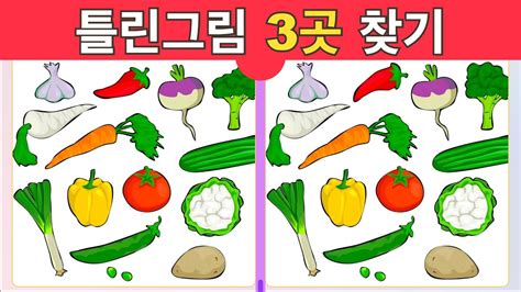 기억력 향상 프로젝트 신선한 야채 틀린그림찾기 Find the 3 differences 집중력 기억력 다른그림