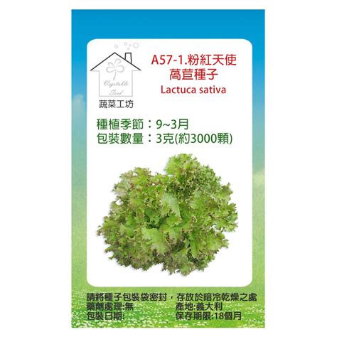 蔬菜工坊 A57 1粉紅天使萵苣種子3克約3000顆 Pchome 24h購物