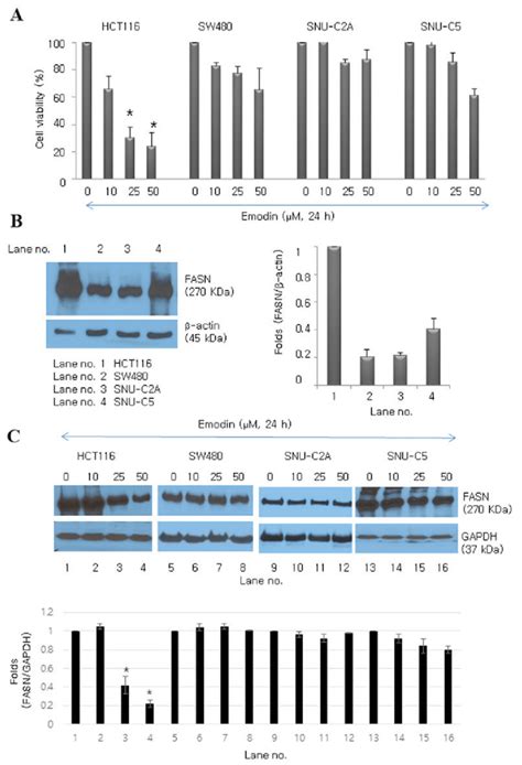 Emodin Inhibits Proliferation Of Human Colon Cancer Cell Lines A