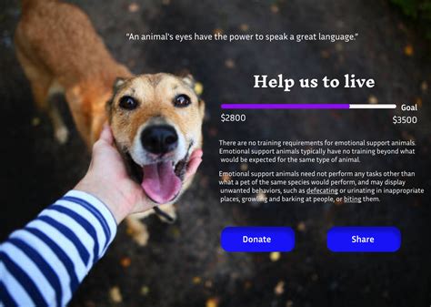 Daily Ui Crowdfunding Campaign Figma