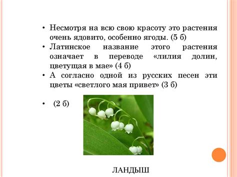 Удивительный мир природы (викторина) - презентация онлайн