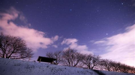 冬の桜並木の夜 Winter night with cherry blossom trees 加藤英行の星と鳥さんブログ