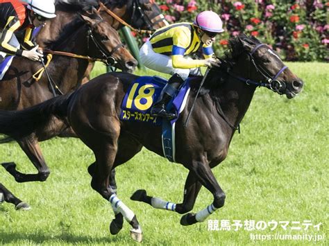 レンレンの『秋華賞』競馬だ‹わん› レンレンのとりざた速報