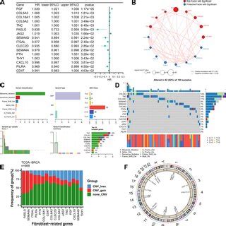 Genomic Variation Landscape Of FRS A Forest Map Showing Genes With