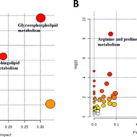 Of Pathway Analysis By Metaboanalyst The Top Pathways Are Ranked By Download Scientific