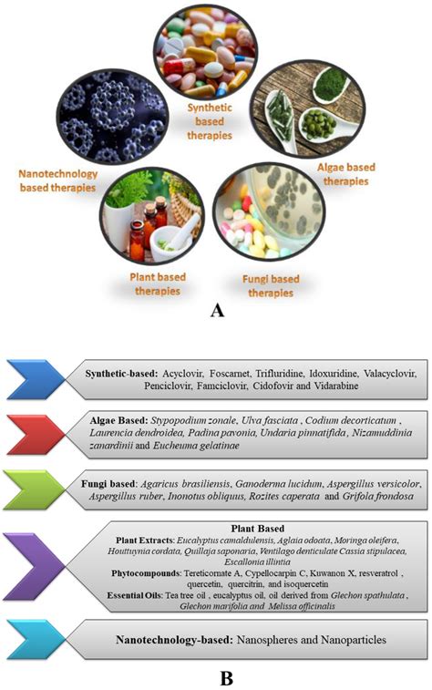 (A): Various therapeutic strategies for the treatment of HSV infection;... | Download Scientific ...