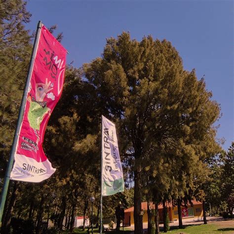 Festival Mimmos Espet Culos Ao Ar Livre No Jardim Da Anta Em