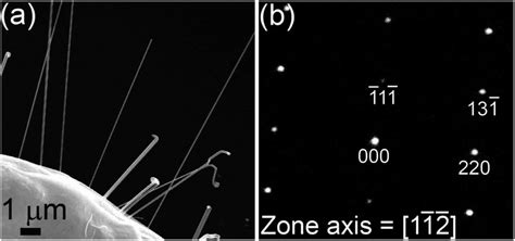 Versatile Method For Template Free Synthesis Of Single Crystalline