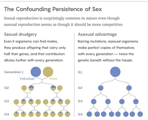 Missing Mutations Suggest A Reason For Sex Quanta Magazine