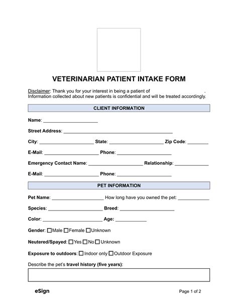 Free Veterinarian Patient Intake Form | PDF | Word