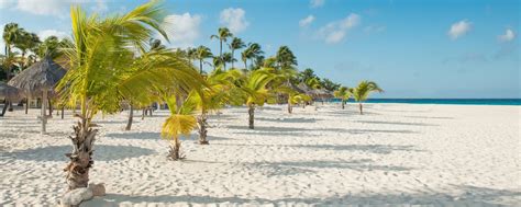 Manchebo Beach | Beaches of Aruba