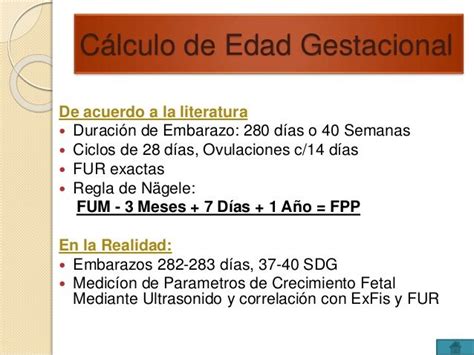 Calcular Gestacional De Semanas Para Meses Calculadora Gestacional