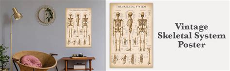 Mua Palace Learning Vintage Skeletal System Anatomical Chart Human Skeleton Anatomy Poster