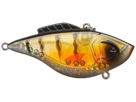 Best Lipless Crankbaits For Bass In Barb Catch Fishing