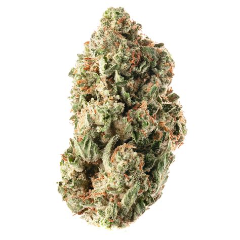 Fruit Rise Flower - Joy Ridge Farms