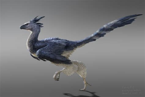 Bird-hybrid Creature Design, Yuhong Ding in 2023 | Creature design ...