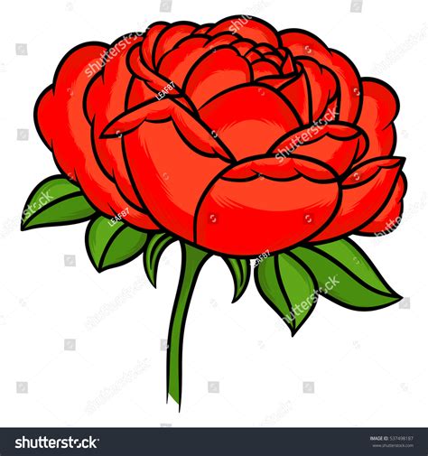 Flowers Roses Red Buds Green Leaves Stock Vector Royalty Free