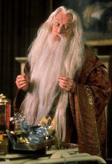 Harry Potter - Dumbledore | Cartoon And Movie Gallery