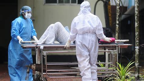 Tanda Dan Gejala Virus Nipah Beserta Cara Pencegahannya Tribunnews