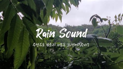 숙면을 위한 편안한 빗소리 Asmr 수면유도 빗소리 백색소음불면증해소 Healing Rain Sleep Music