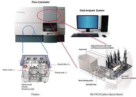 Flow Cytometry (FCM) /FACS | Flow Cytometer