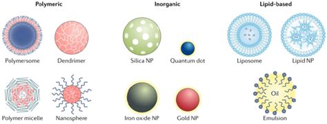 Different Types Of The Nanoparticles Np Based Drug Delivery Systems